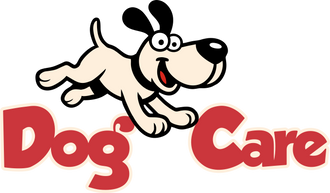 Dog Care - Roupas, camas e acessórios