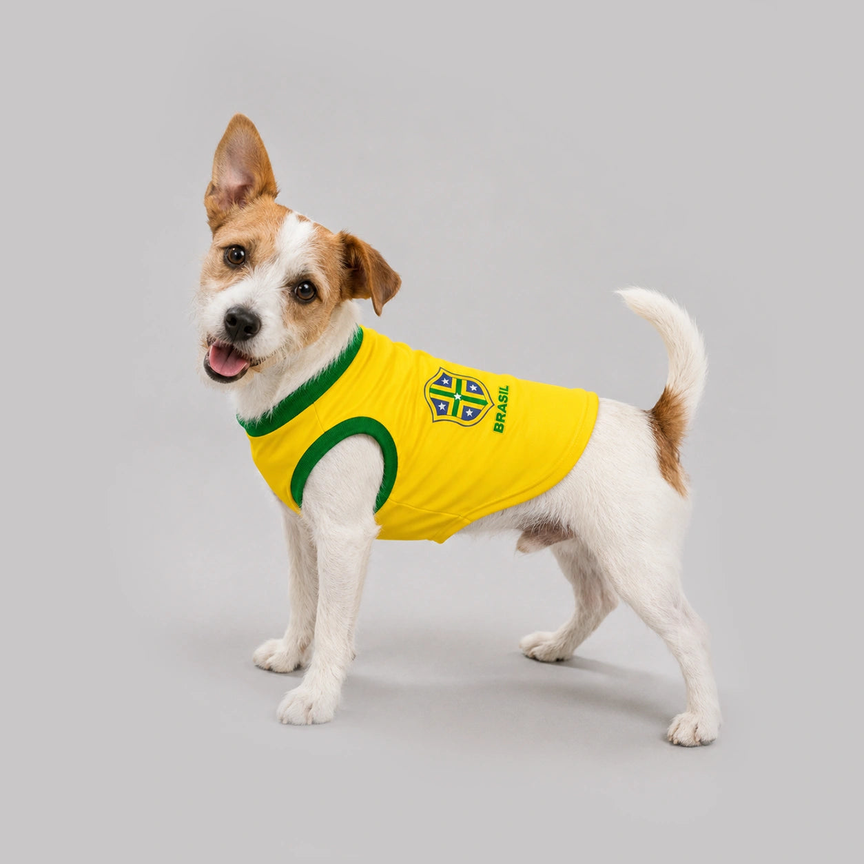 Camisa Amarela pet Seleção Brasileira - Brasil Copa 2026