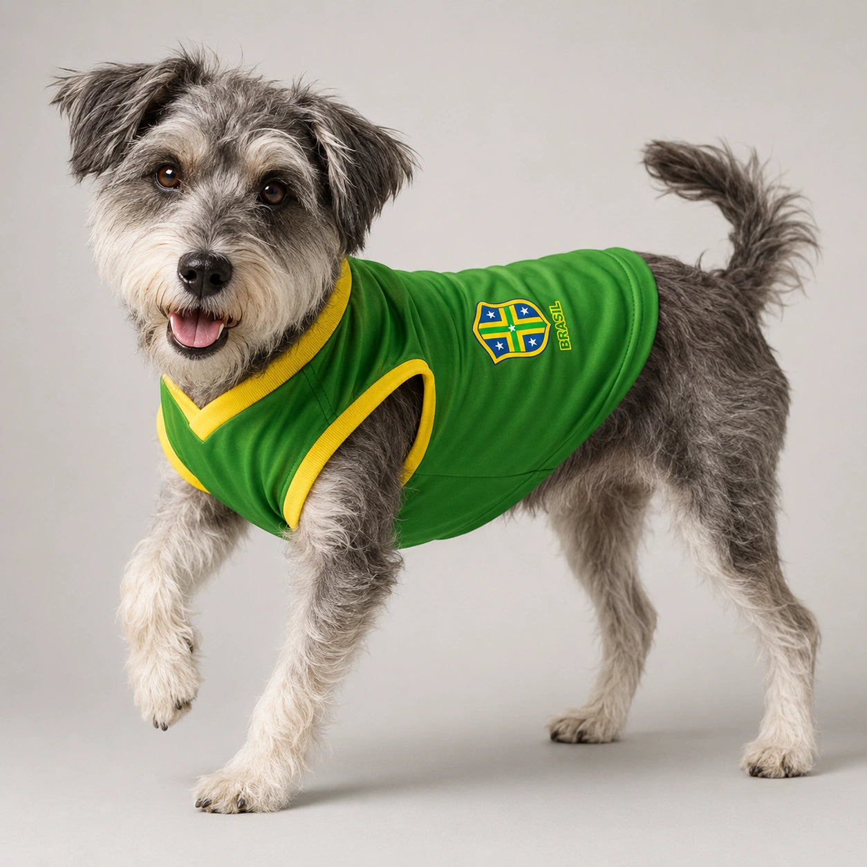 Camisa Verde pet Seleção Brasileira - Brasil Copa 2026