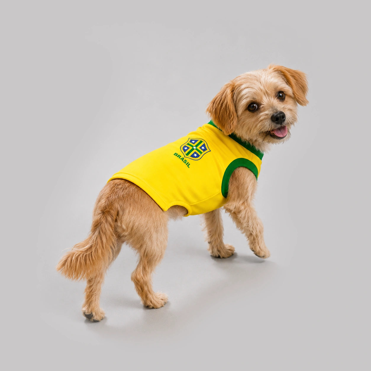 Camisa Amarela pet Seleção Brasileira - Brasil Copa 2026
