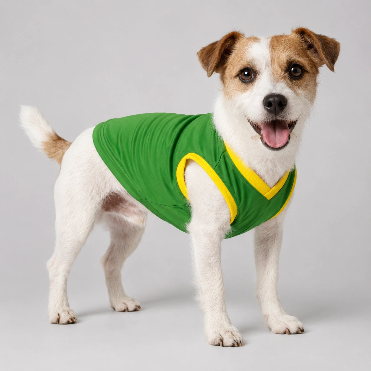 Camisa Verde pet Seleção Brasileira - Brasil Copa 2026