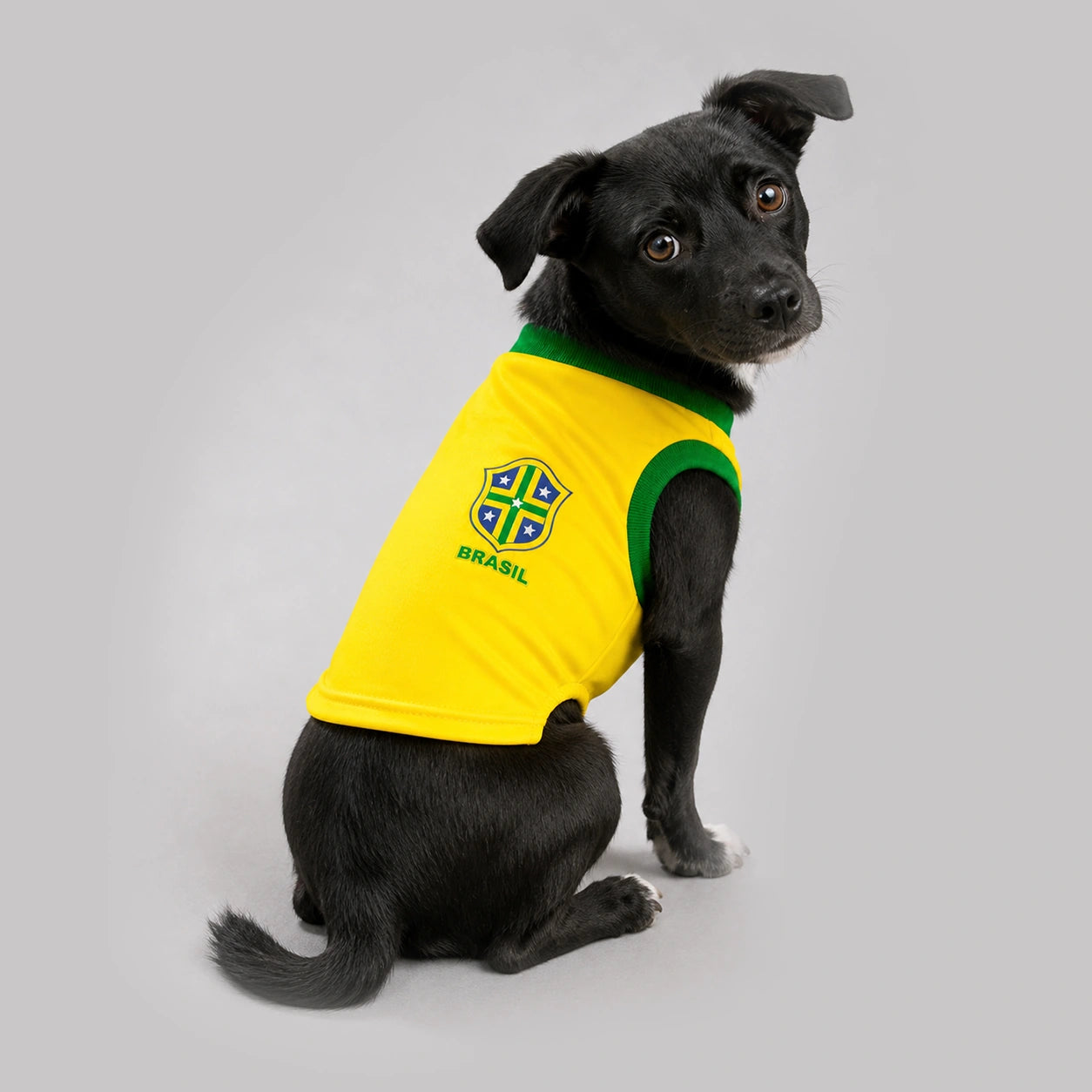 Camisa Amarela pet Seleção Brasileira - Brasil Copa 2026