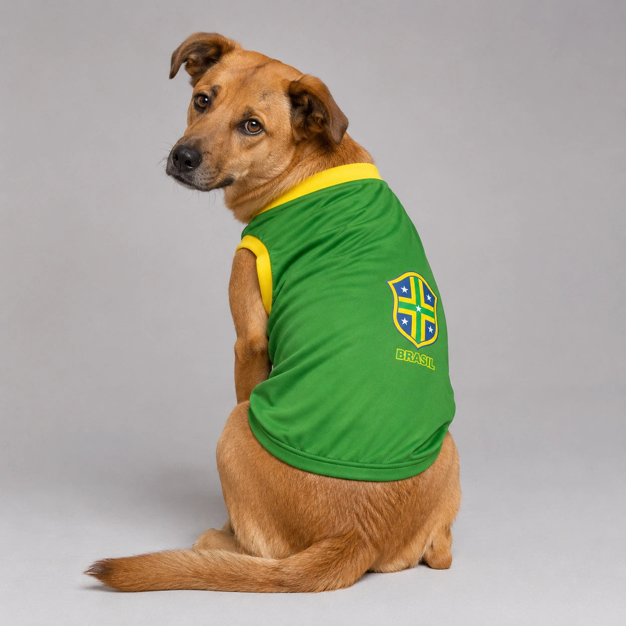Camisa Verde pet Seleção Brasileira - Brasil Copa 2026