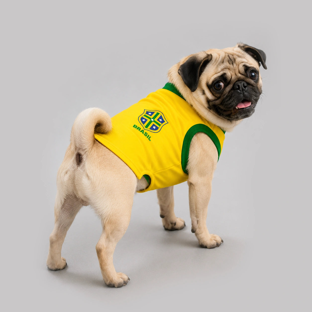 Camisa Amarela pet Seleção Brasileira - Brasil Copa 2026
