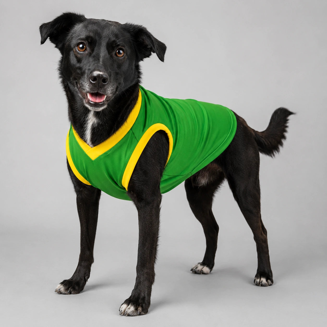 Camisa Verde pet Seleção Brasileira - Brasil Copa 2026
