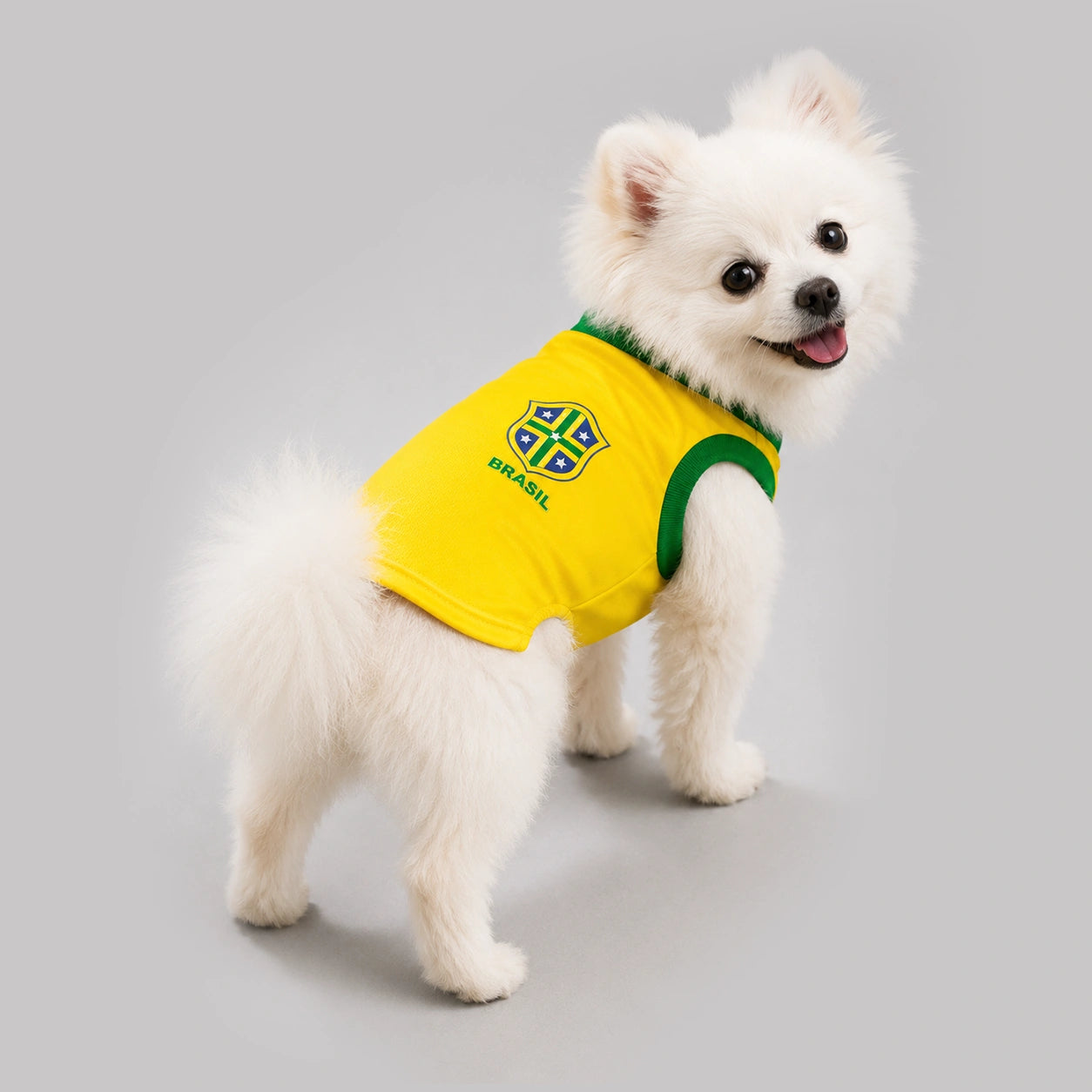 Camisa Amarela pet Seleção Brasileira - Brasil Copa 2026