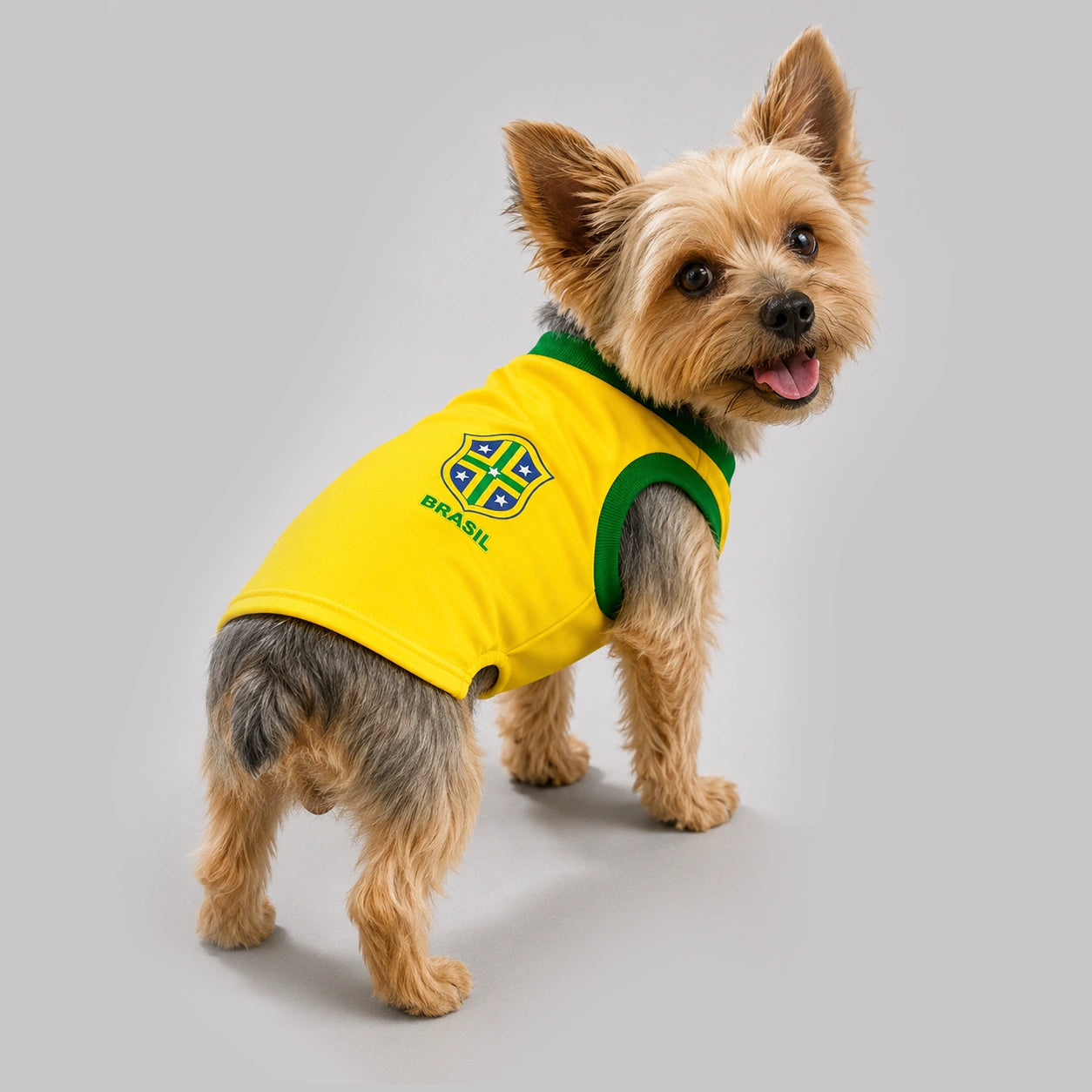 Camisa Amarela pet Seleção Brasileira - Brasil Copa 2026